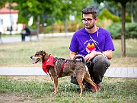 Adoptuj Warszawiaka  Wydarzenie promujące adopcję zwierząt. Organizator: Schronisko dla Bezdomnych Zwierząt "Na Paluchu". 18 sierpnia 2019, Park Raszyński w Raszynie. : park raszyński, adoptuj warszawiaka, na paluchu, schronisko dla zwierząt, centrum warszawy, raszyn